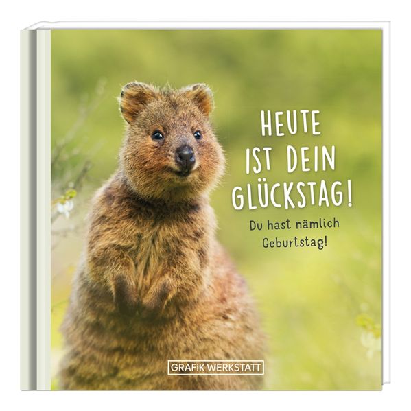 Cover von Heute ist dein Glückstag!