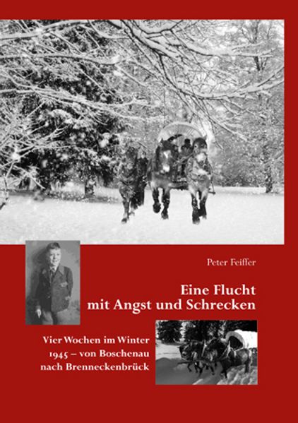 Cover von Eine Flucht mit Angst und Schrecken