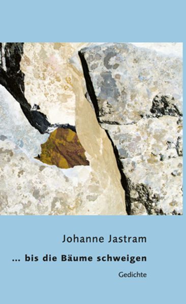 Cover von … bis die Bäume schweigen
