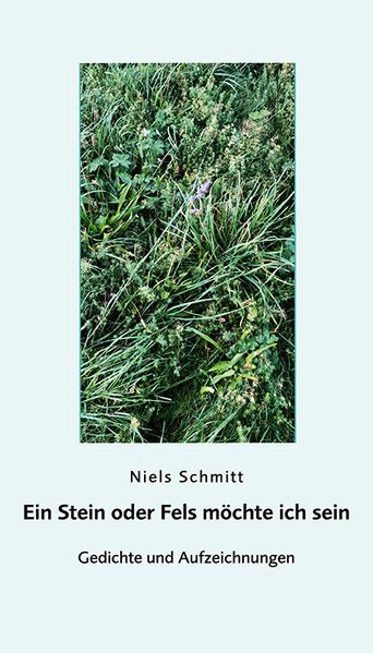 Cover von Ein Stein oder Fels möchte ich sein