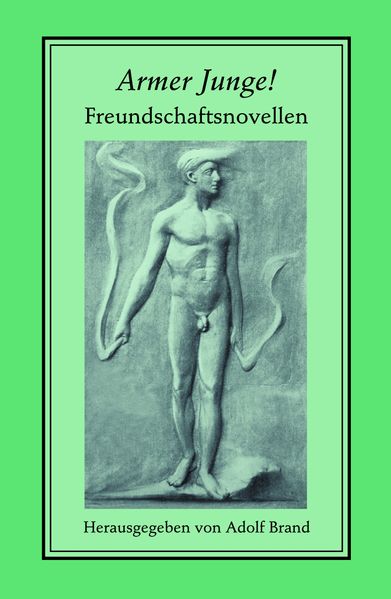Cover von Armer Junge!