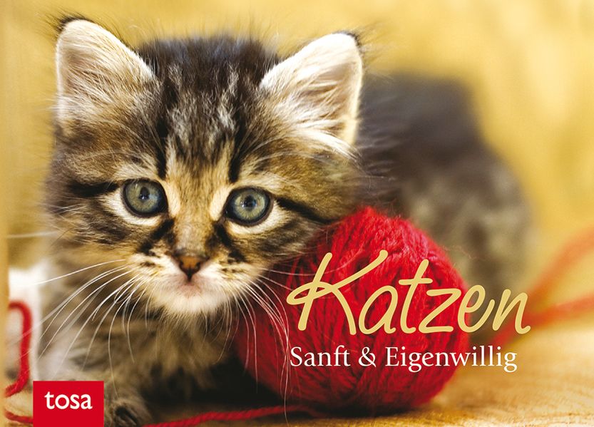 Cover von Katzen