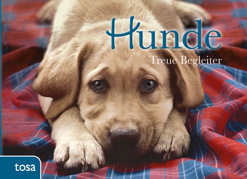 Cover von Hunde