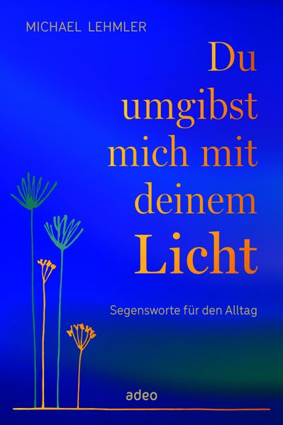 Cover von Du umgibst mich mit deinem Licht