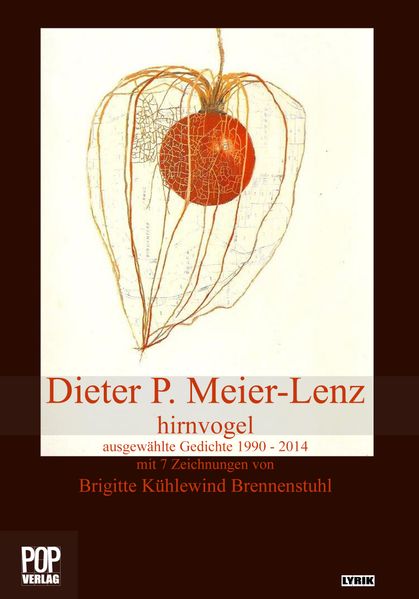 Cover von hirnvogel
