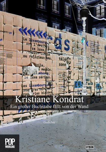 Cover von Ein großer Buchstabe fällt von der Wand