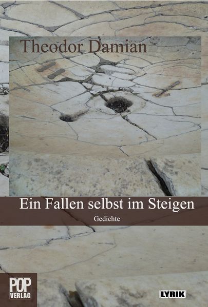 Cover von Ein Fallen selbst im Steigen