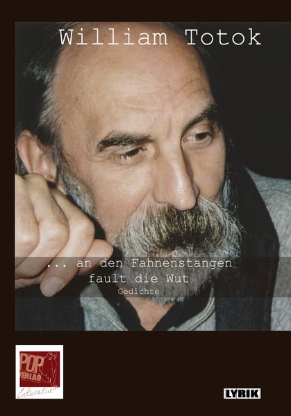 Cover von … an den Fahnenstangen fault die Wut