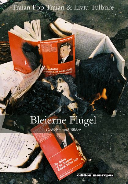 Cover von Bleierne Flügel