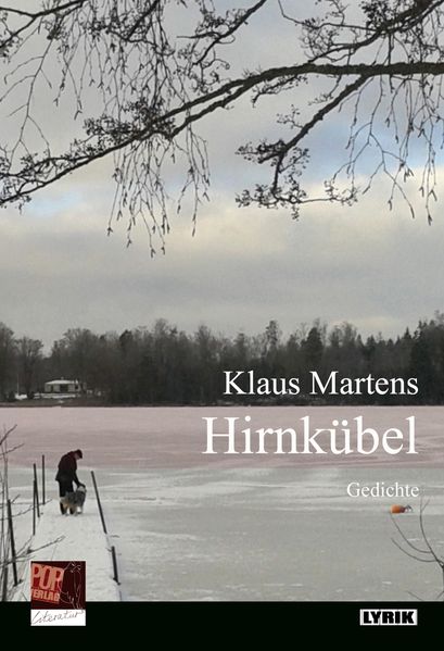 Cover von Hirnkübel