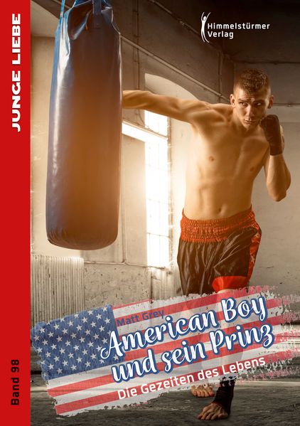 Cover von American Boy und sein Prinz 3