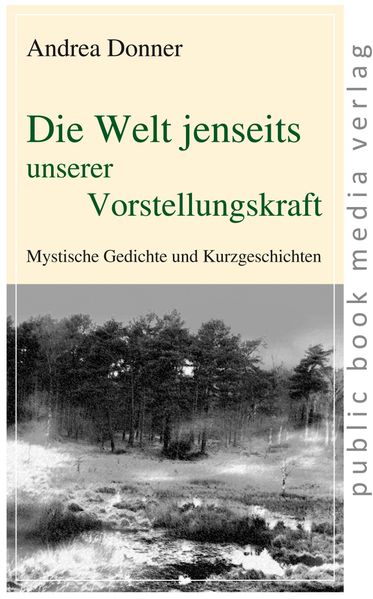 Cover von Die Welt jenseits unserer Vorstellungskraft