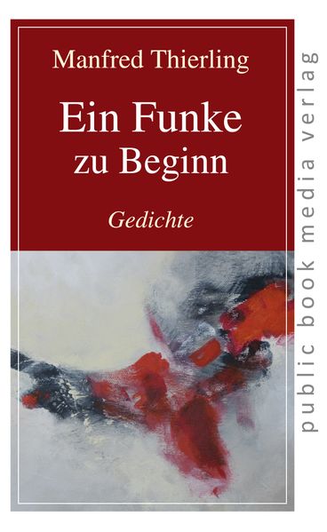 Cover von Ein Funke zu Beginn
