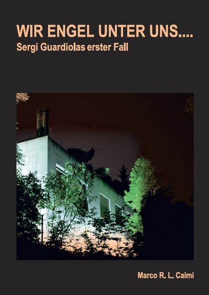Cover von Wir Engel unter uns …