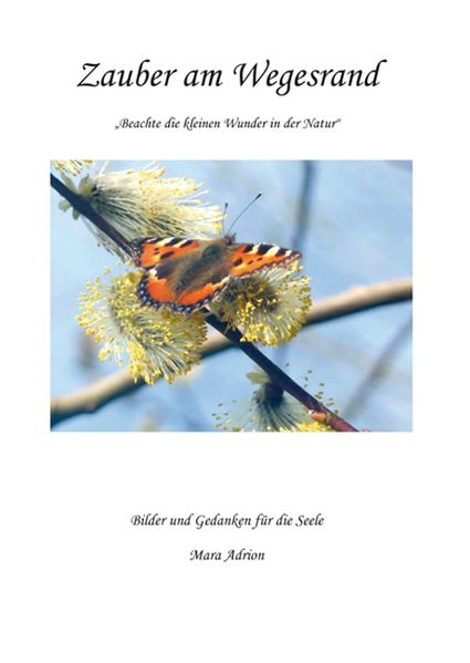 Cover von Zauber am Wegesrand