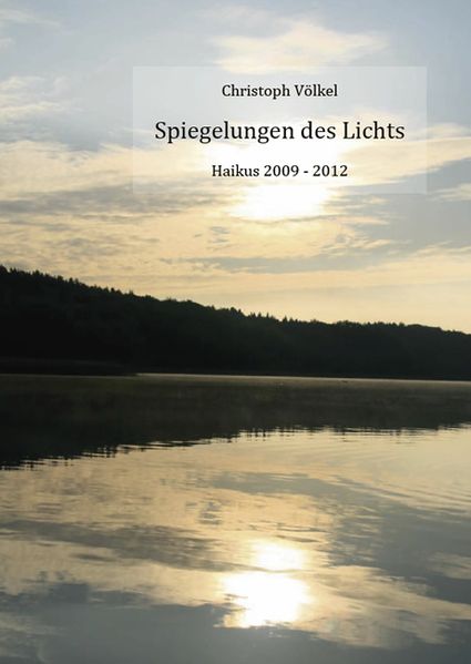 Cover von Spiegelungen des Lichts