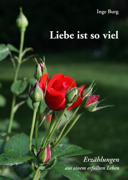 Cover von Liebe ist so viel
