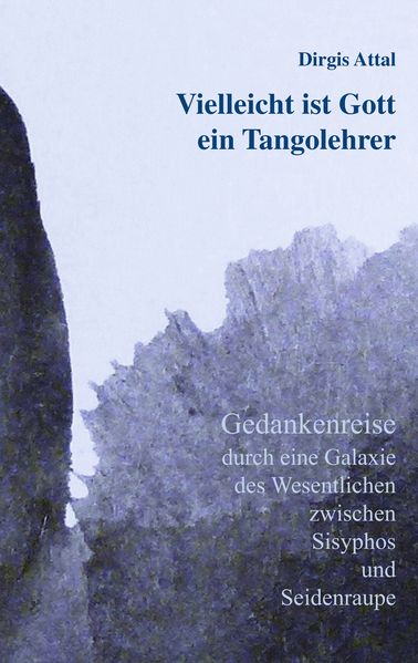Cover von Vielleicht ist Gott ein Tangolehrer