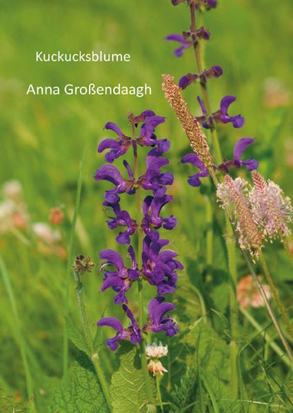 Cover von Kuckucksblume