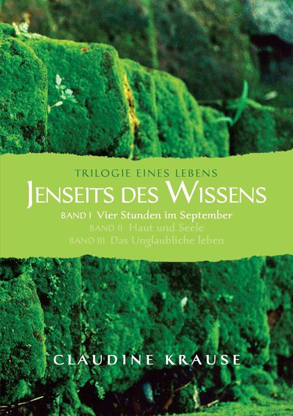 Cover von Jenseits des Wissens – Band I