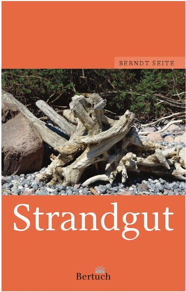 Cover von Strandgut