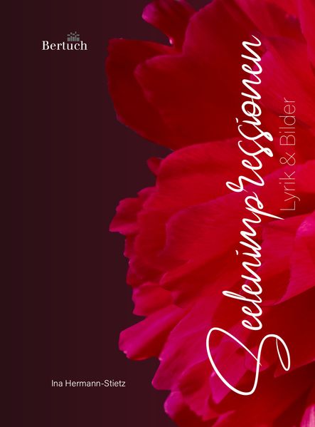 Cover von Seelenimpressionen