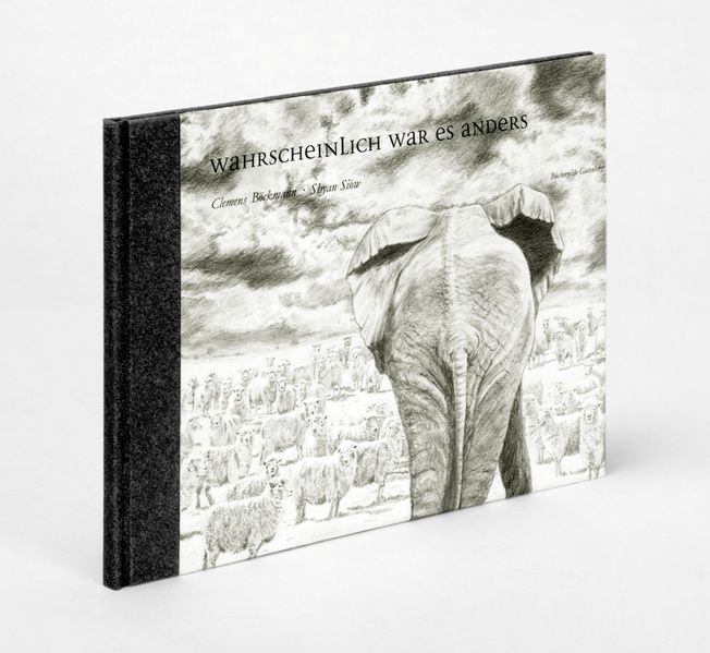 Cover von Wahrscheinlich war es anders