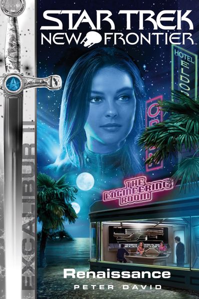 Cover von Star Trek – New Frontier 8