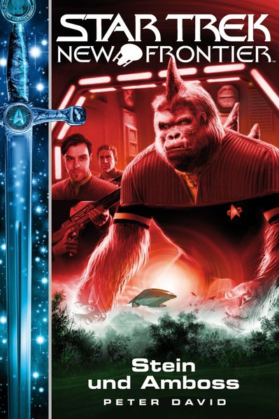 Cover von Star Trek – New Frontier 13: Stein und Amboss