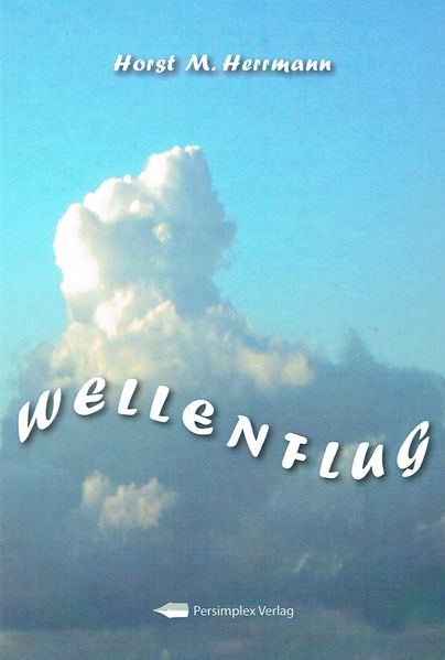 Cover von Wellenflug