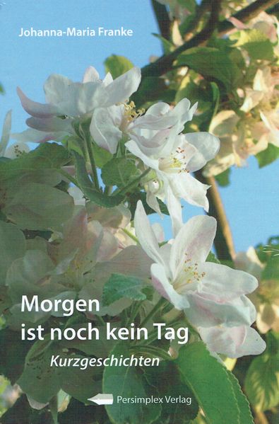 Cover von Morgen ist noch kein Tag