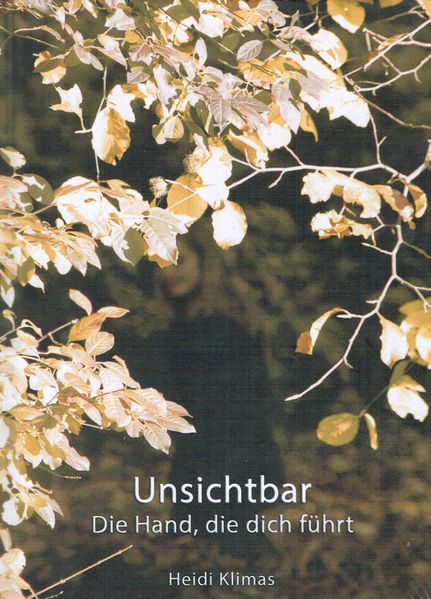 Cover von Unsichtbar