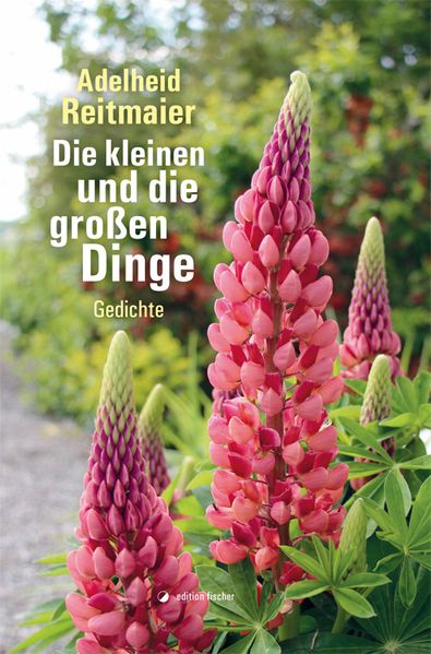 Cover von Die kleinen und die großen Dinge