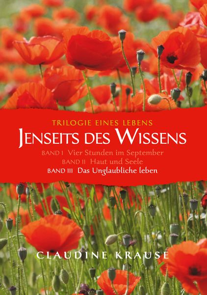 Cover von Jenseits des Wissens – Band III