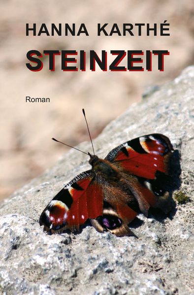 Cover von Steinzeit