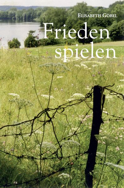 Cover von Frieden spielen