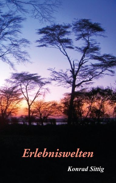 Cover von Erlebniswelten