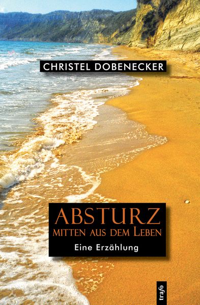 Cover von Absturz mitten aus dem Leben