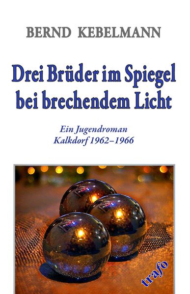 Cover von Drei Brüder im Spiegel bei brechendem Licht