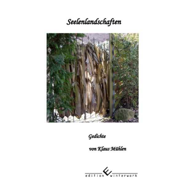 Cover von Seelenlandschaften