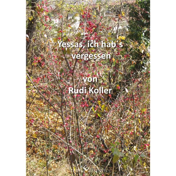 Cover von Yessas, ich hab´s vergessen