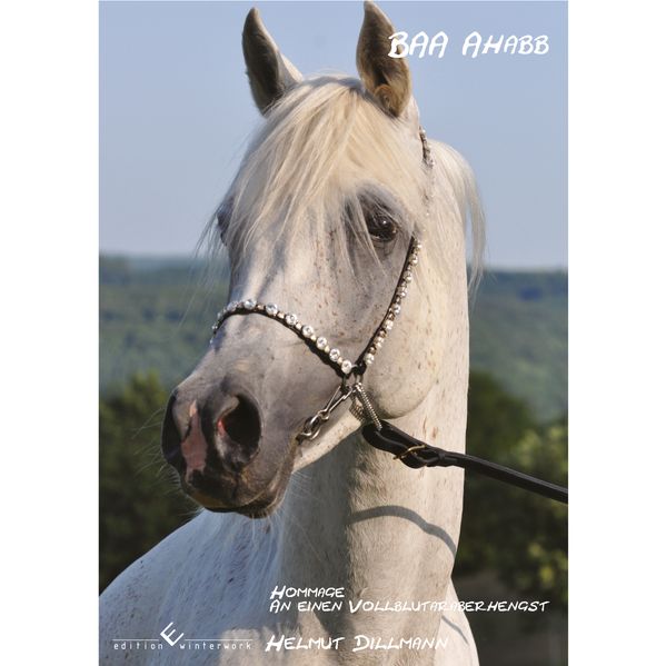Cover von BAA Ahabb – Hommage an einen Vollblutaraberhengst