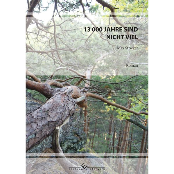 Cover von 13.000 Jahre sind nicht viel