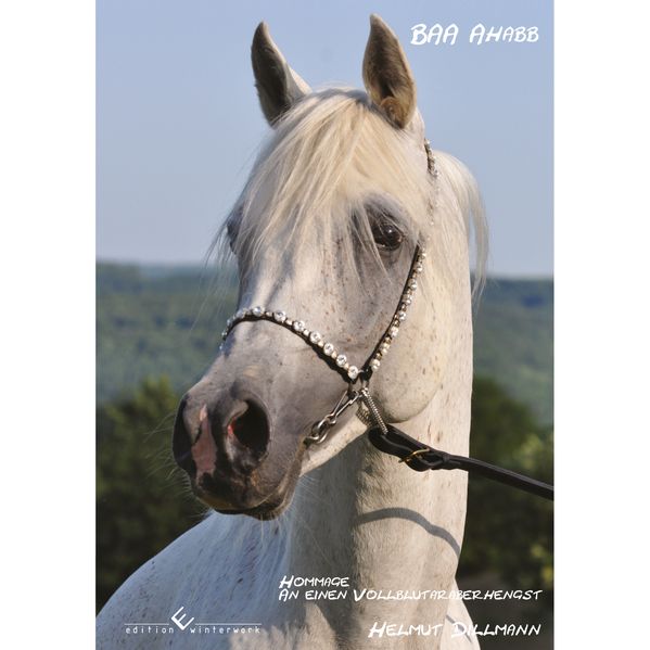 Cover von BAA Ahabb – Hommage an einen Vollblutaraberhengst