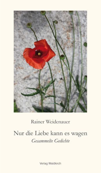 Cover von Nur die Liebe kann es wagen