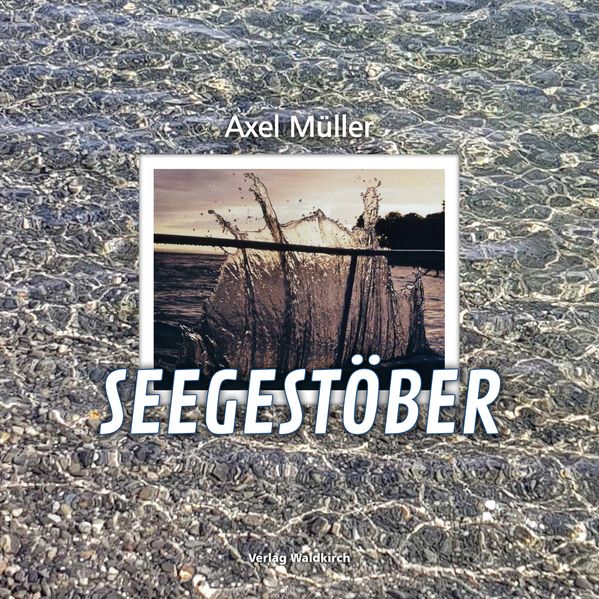 Cover von Seegestöber