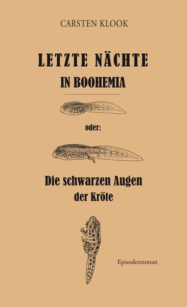 Cover von Letzte Nächte in Boohemia