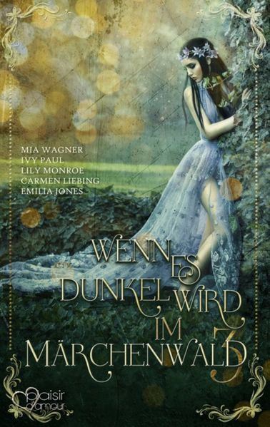 Cover von Wenn es dunkel wird im Märchenwald …: König Drosselbart