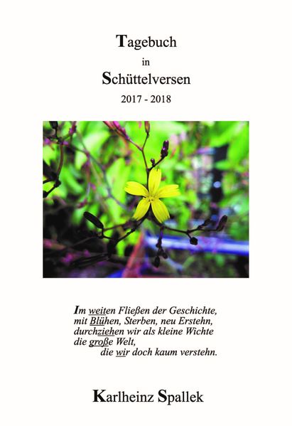 Cover von Tagebuch in Schüttelversen
