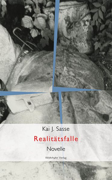 Cover von Realitätsfalle